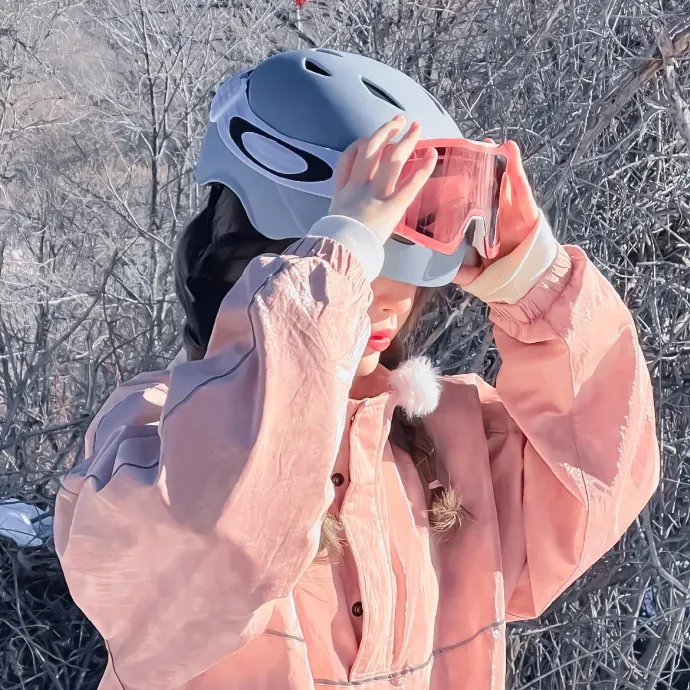 皇家次子女秘密组织