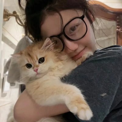 女贼金丝猫